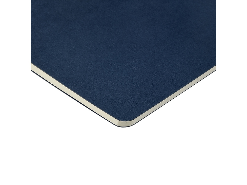 Бизнес-тетрадь А4 Pragmatic,  40л., клетка, темно-синий-3