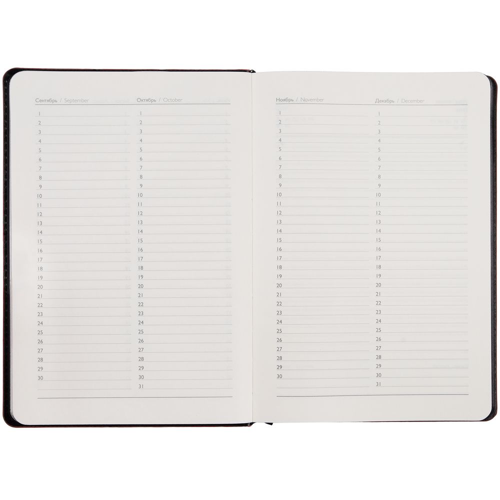 Ежедневник Alanis, недатированный, черный с синим-4