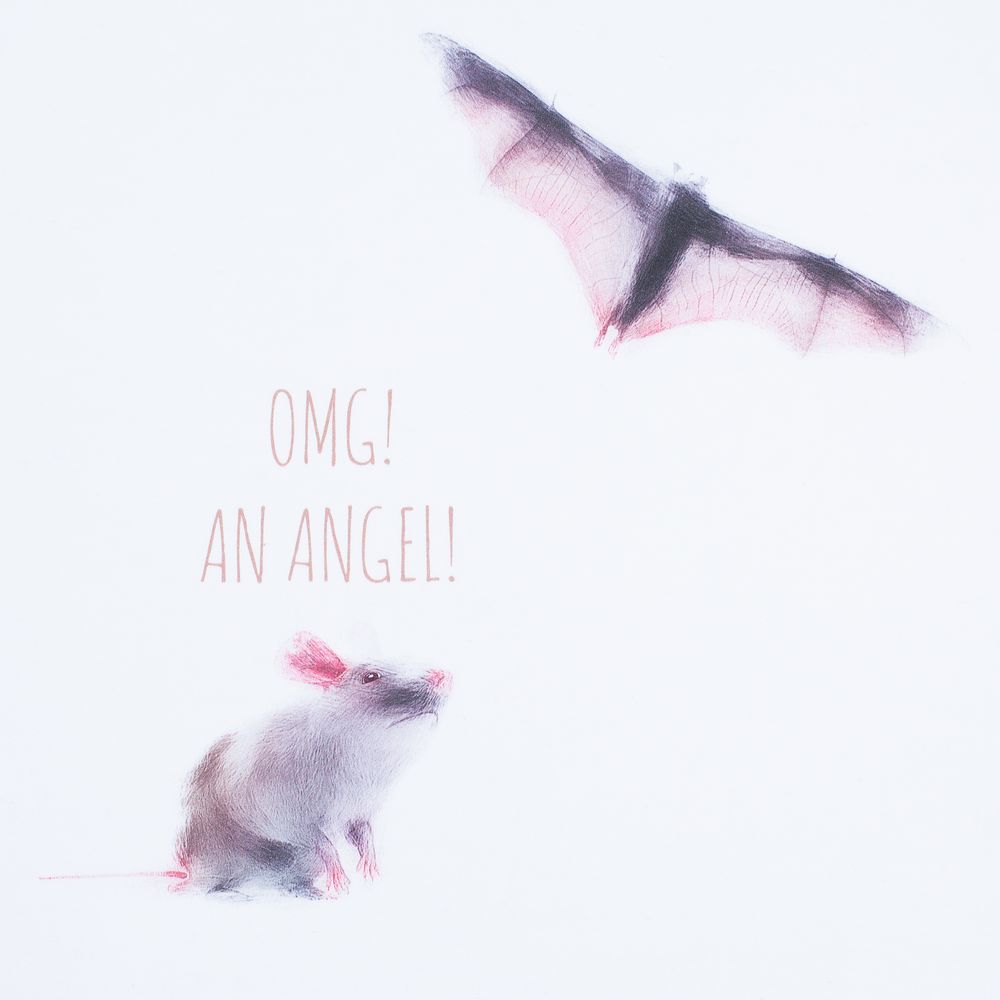 Футболка женская An Angel, белая-2