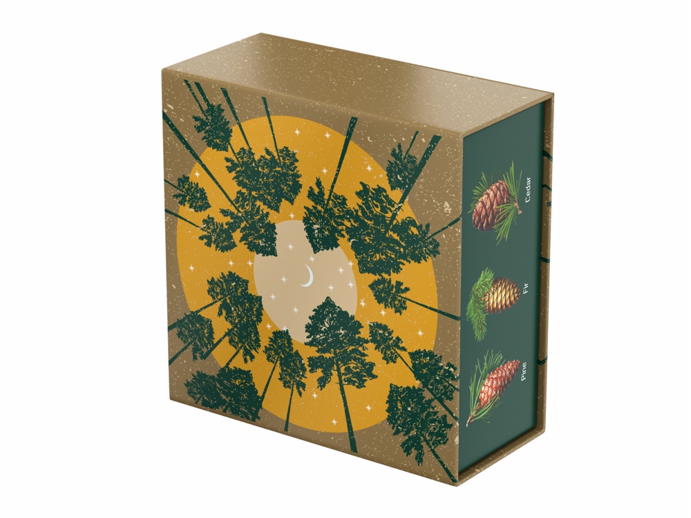 Подарочный набор c чаем С сосновым годом!-5