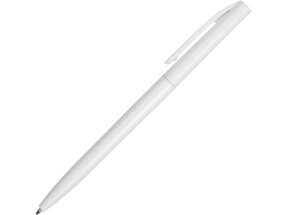 Ручка пластиковая шариковая Reedy, белый-2