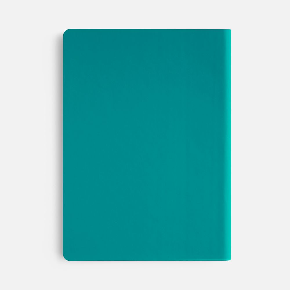 Ежедневник Flex Shall New, недатированный, бирюзовый-2