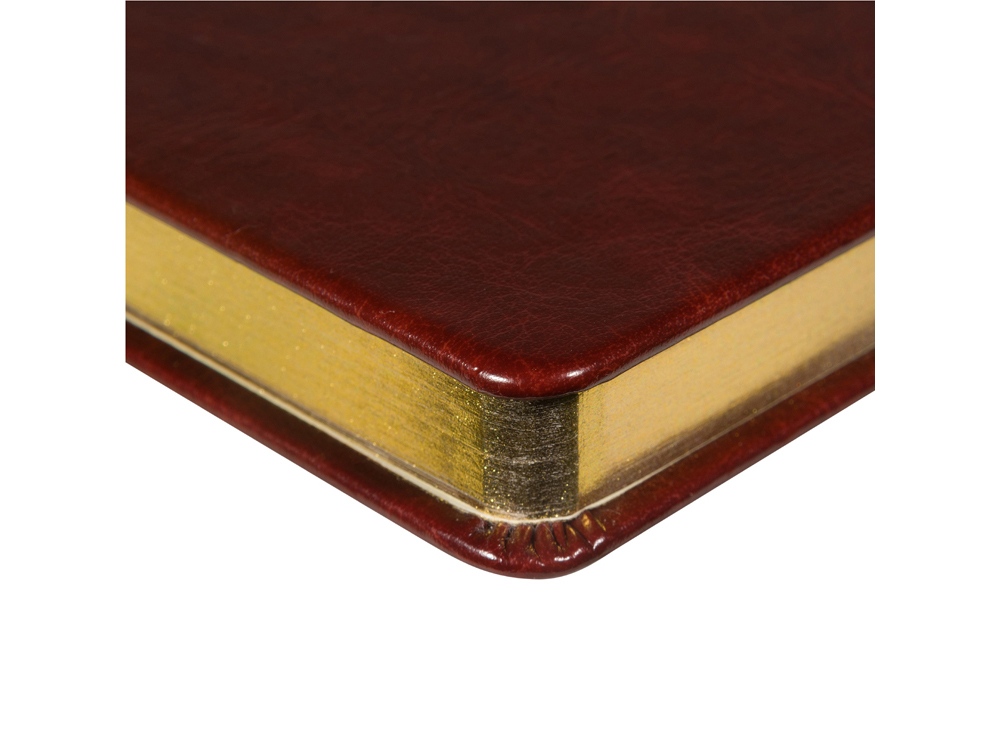 Ежедневник недатированный А5 Megapolis Nebraska, коричневый с золотым обрезом-2