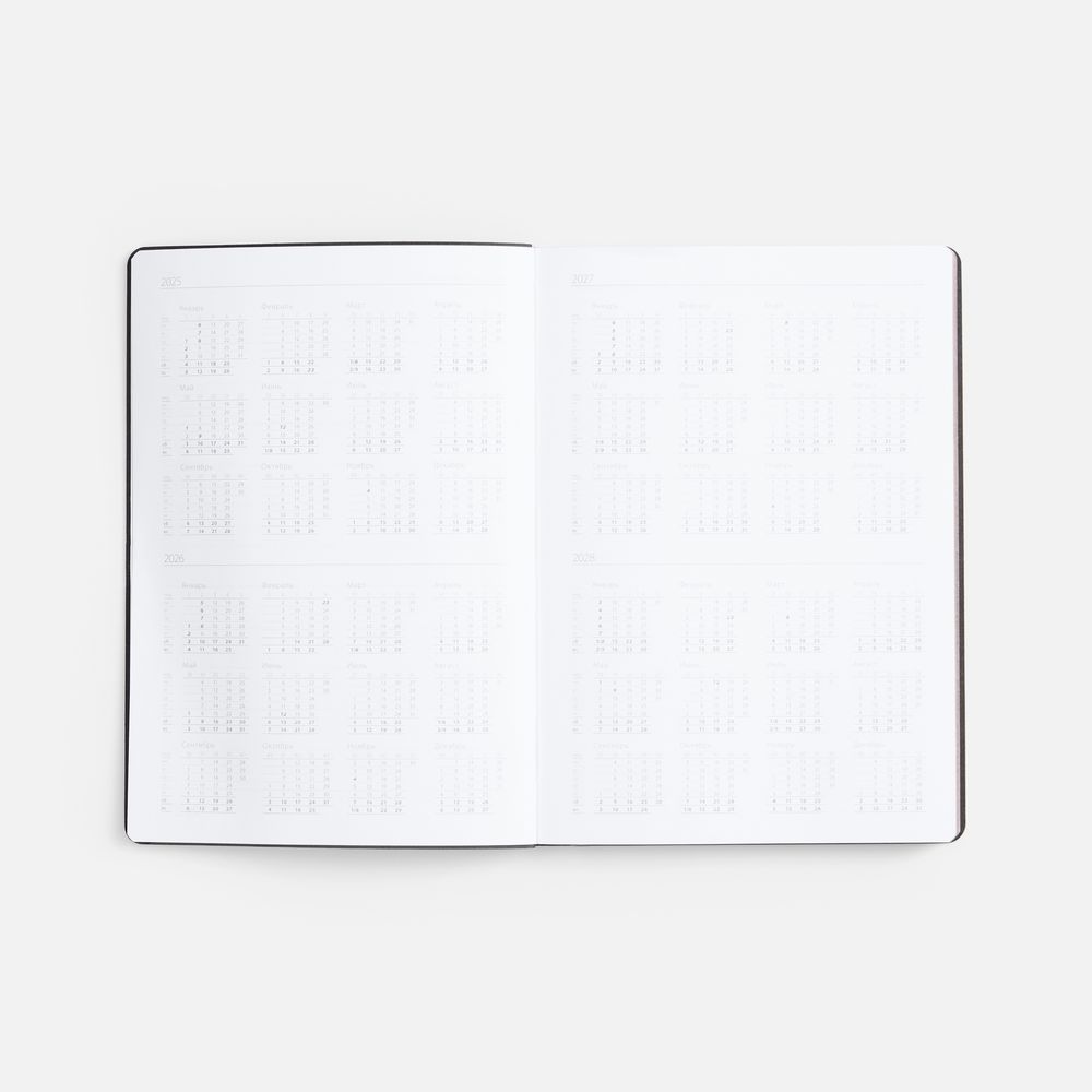 Ежедневник Nebraska Flex, недатированный, черный с серебристым-7