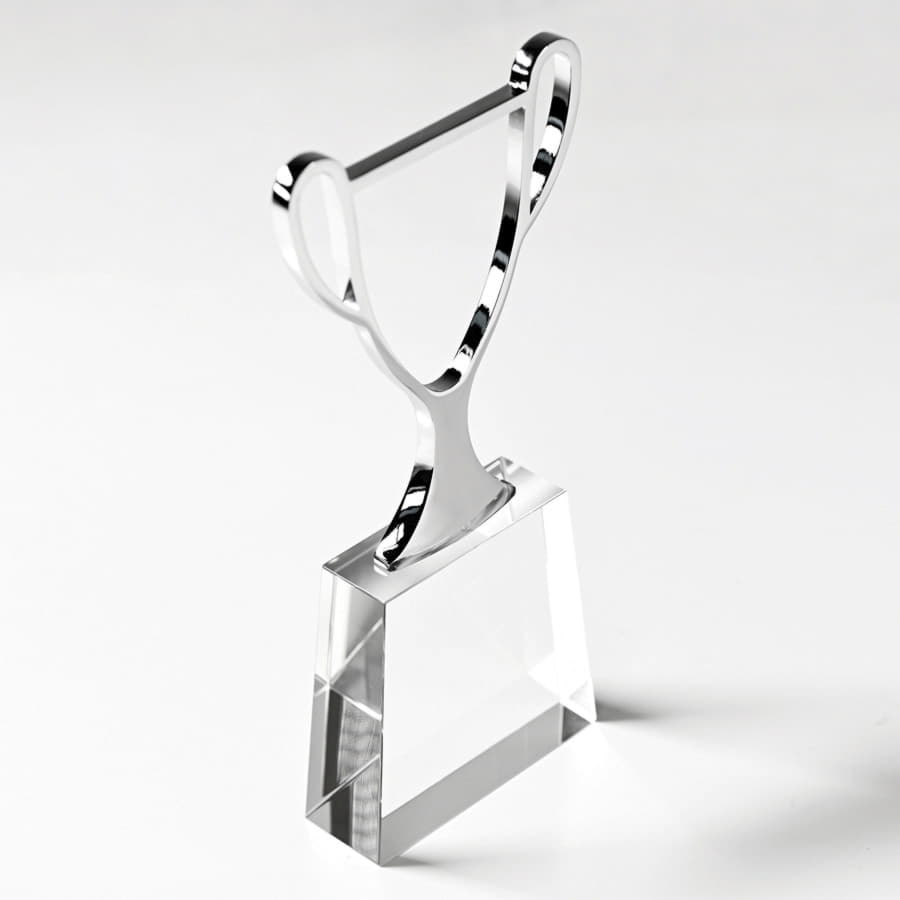 Стела  "Чемпион" в подарочной упаковке, серебристый-1