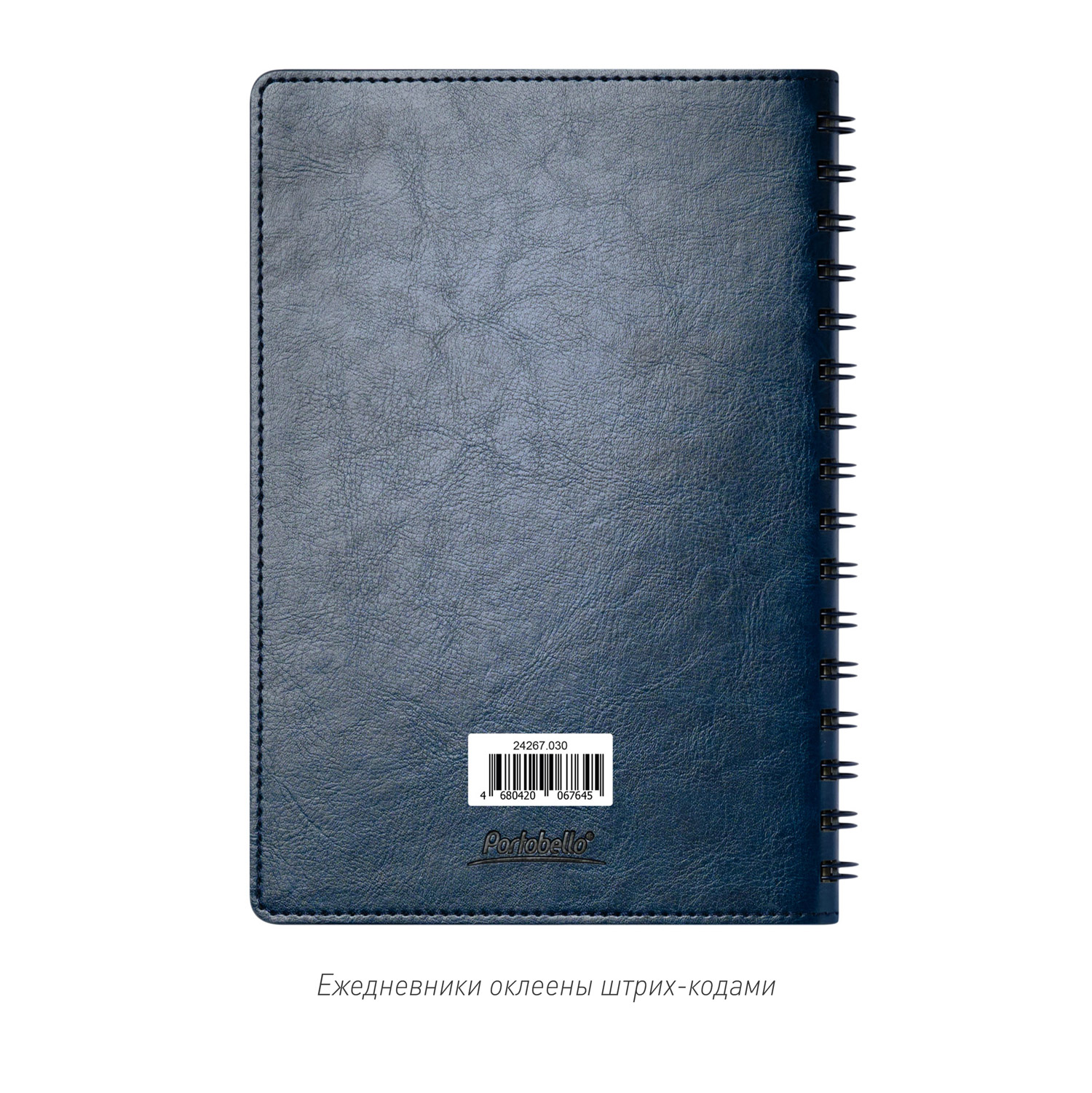 Ежедневник Vista Neo недатированный, синий-13