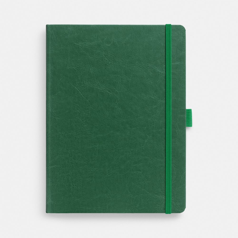 Еженедельник Lucky, недатированный, зеленый-0