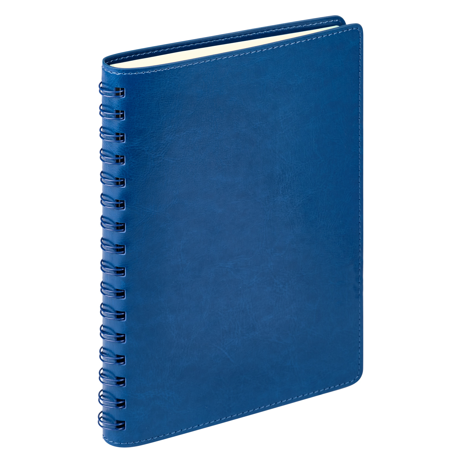 Ежедневник Виста Нео (Vista Neo) недатированный, ярко-синий-5