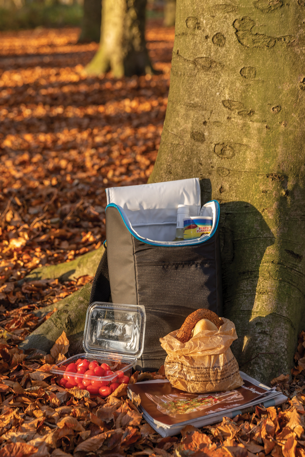 Рюкзак-холодильник Explorer-3