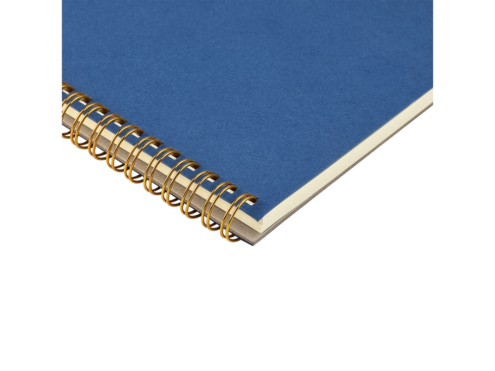 Бизнес тетрадь на гребне А5 Pragmatic, 60 листов в клетку, синий-2