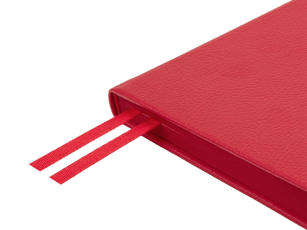 Ежедневник недатированный А5 Megapolis Nappa, бордовый-5