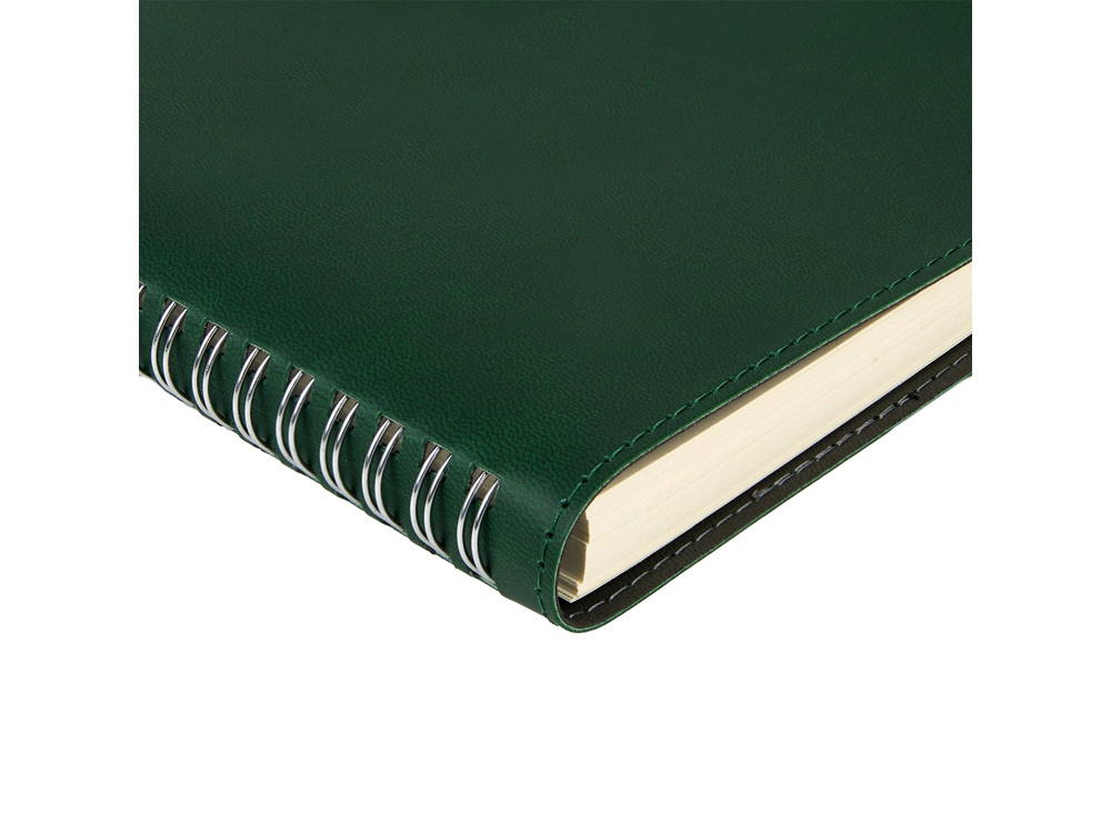 Ежедневник А5 Tintoretto, зеленый-1