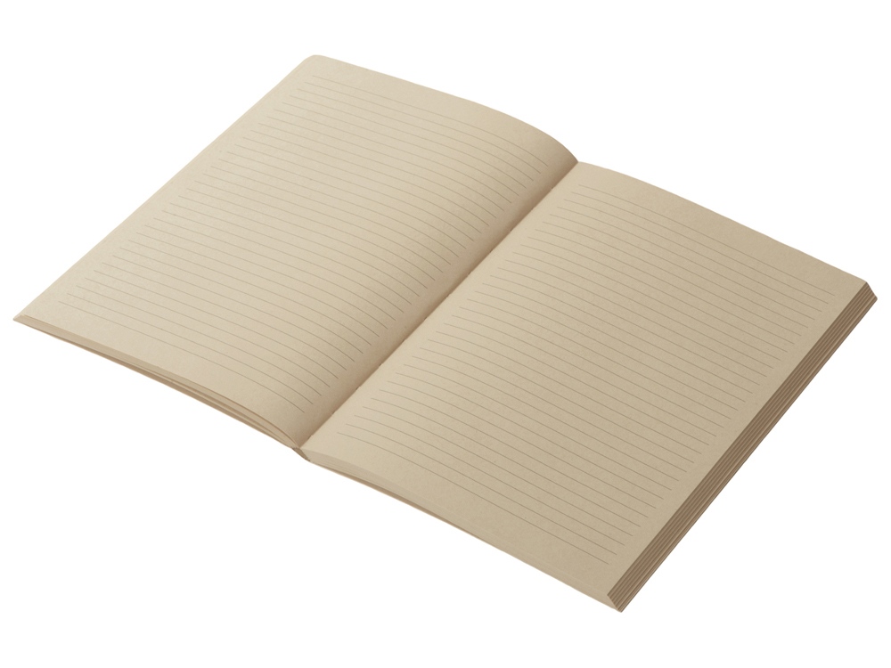 Блокнот А5 Adiantum из переработанного тростника, 80 листов, гибкая обложка, натуральный-1