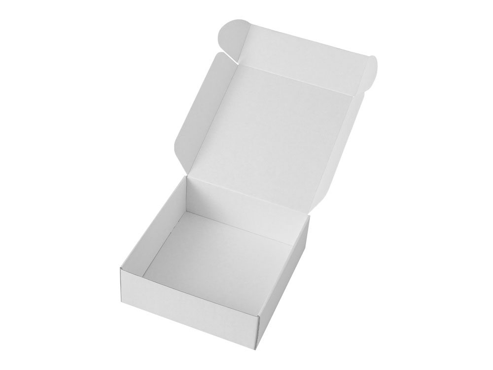 Коробка подарочная Zand new, белый-4