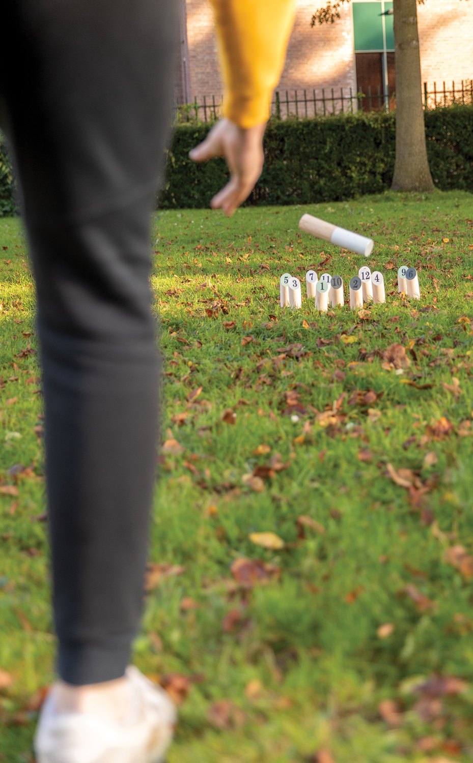 Деревянный набор Финские кегли-6