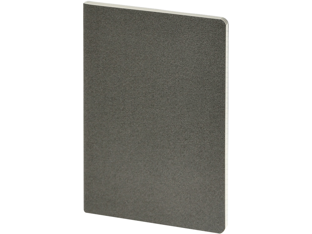 Бизнес-тетрадь А4 Pragmatic,  40л., клетка, серый-0