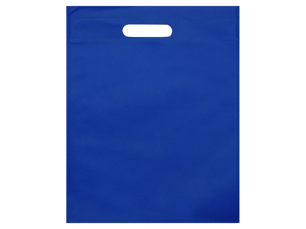 Сумка для выставок Prime, ярко-синий-2