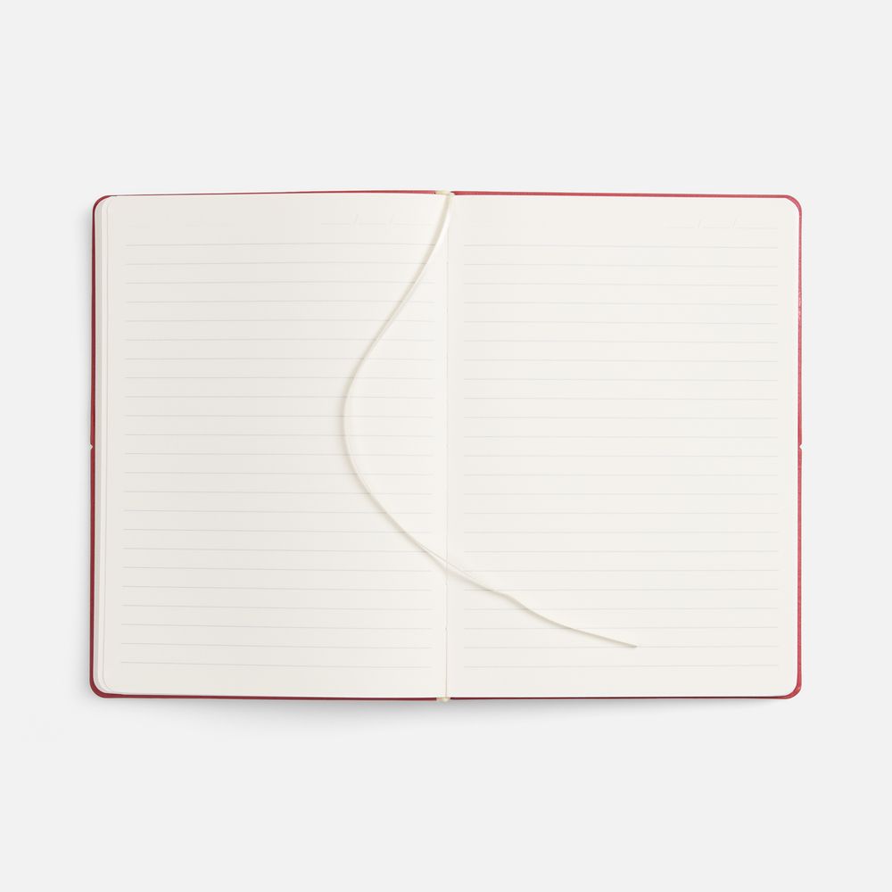 Ежедневник Kuka, недатированный, ver.2, красный-4