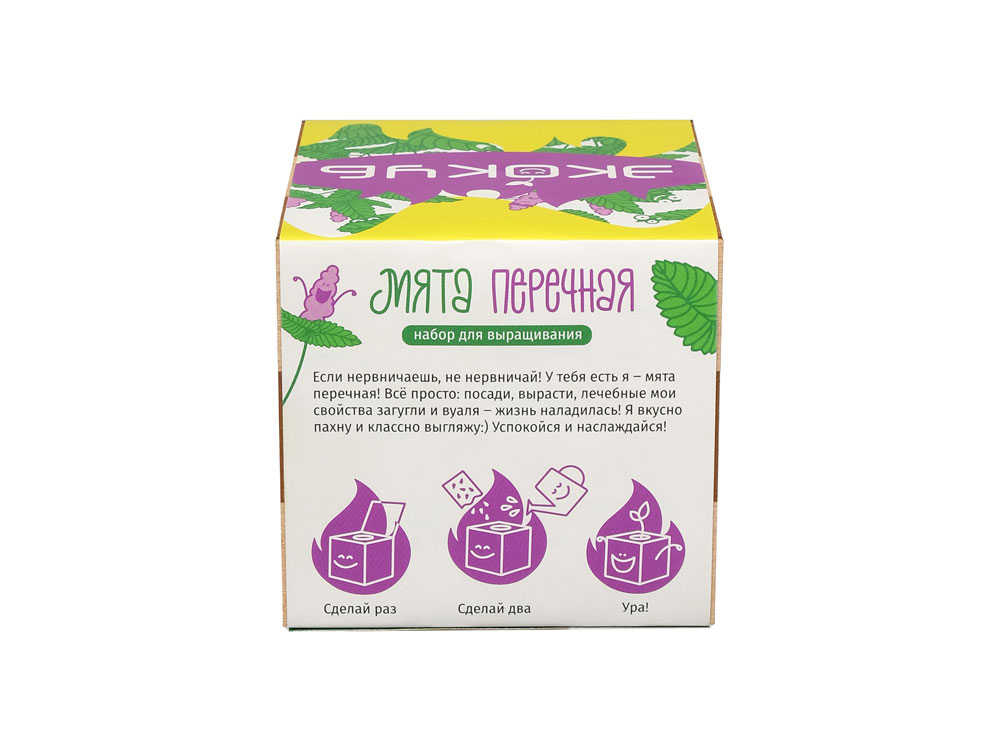 Набор для выращивания Экокуб Magicme Мята-3