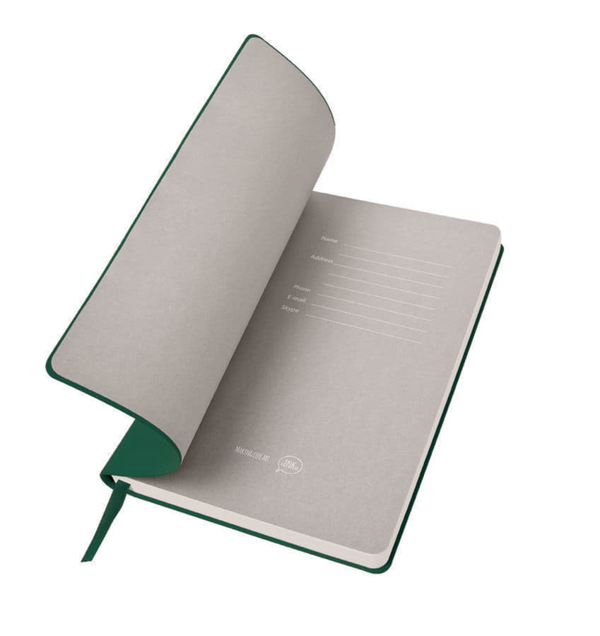 Бизнес-блокнот BIGGY, формат B5,  в клетку, зеленый-3