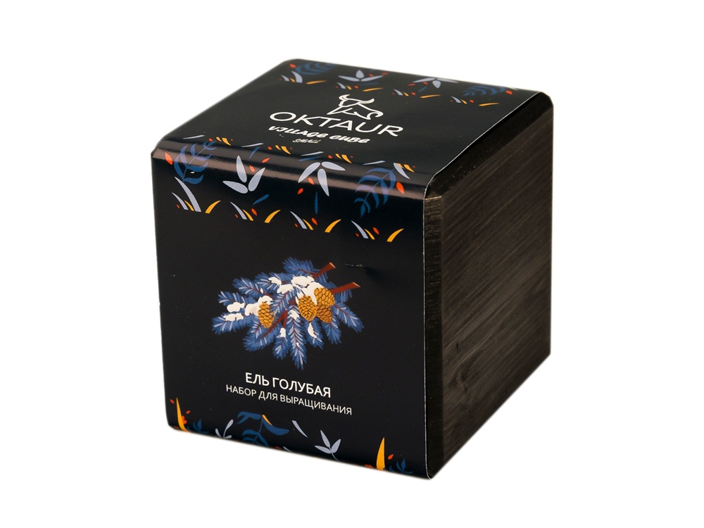 Набор для выращивания Small village cube Ель Голубая-0