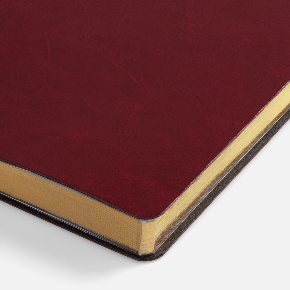 Ежедневник Nebraska Flex, недатированный, бордовый с золотистым-3