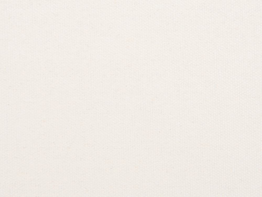 Сумка для шопинга Steady из хлопка с парусиновыми ручками, 260 г/м2, белый-5