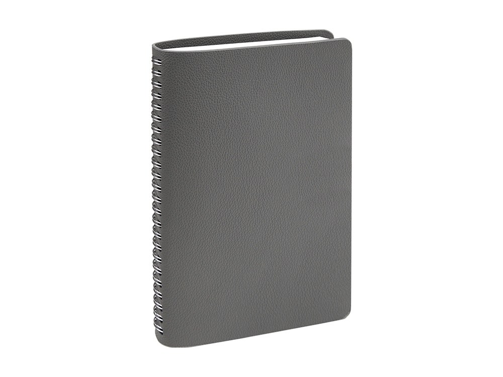 Ежедневник недатированный А5 Alba, серый-2