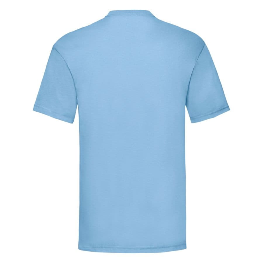 Футболка мужская VALUEWEIGHT T 165, голубой-1