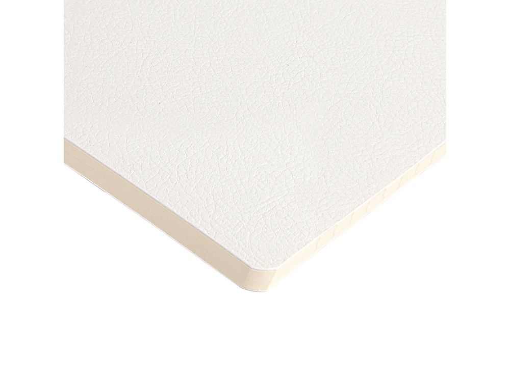 Бизнес-тетрадь А5 Megapolis Loft Flex 60 л., линейка, белый-1