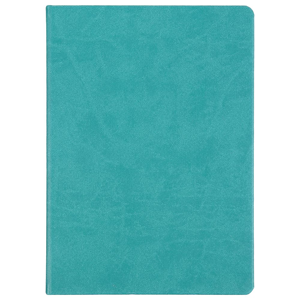 Ежедневник Basis, датированный, бирюзовый-1