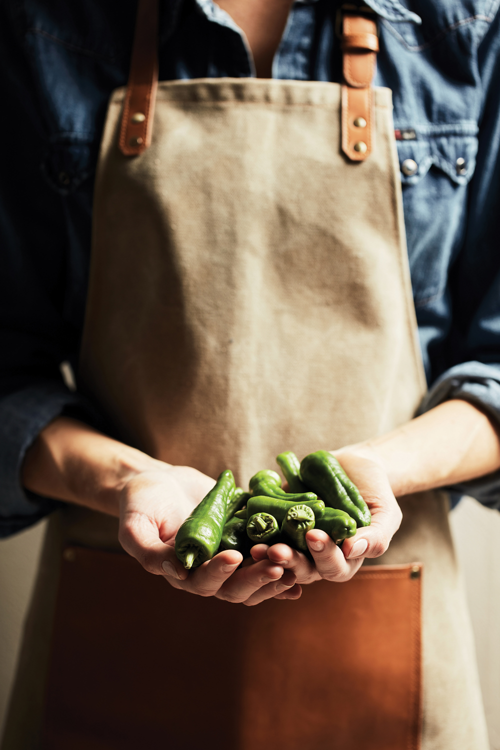 Фартук VINGA Asado-10