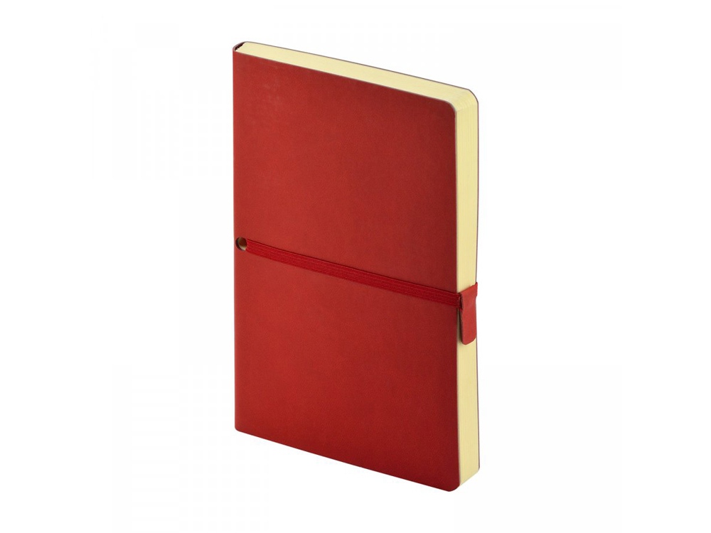 Ежедневник недатированный А5 Tokyo, бордовый-0