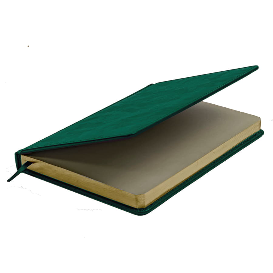 Ежедневник недатированный Joy, формат А5, в линейку, темно-зелёный-4