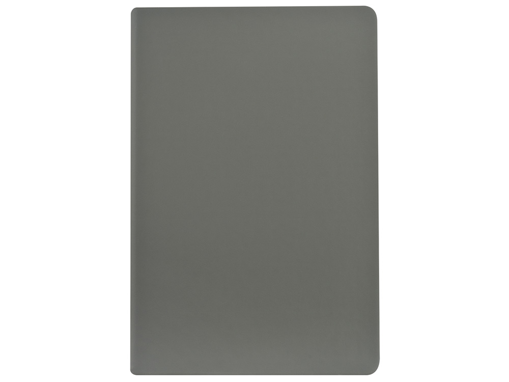 Ежедневник А5 датированный Megapolis Color 2026, серый-1