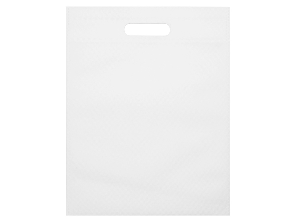 Сумка для выставок Prime, белый-2