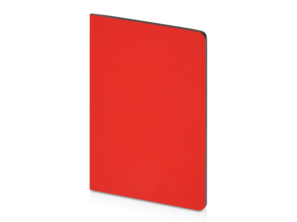 Бизнес-тетрадь А5 Pragmatic Contrast, 40 листов в клетку, красный с темно-серым срезом-0