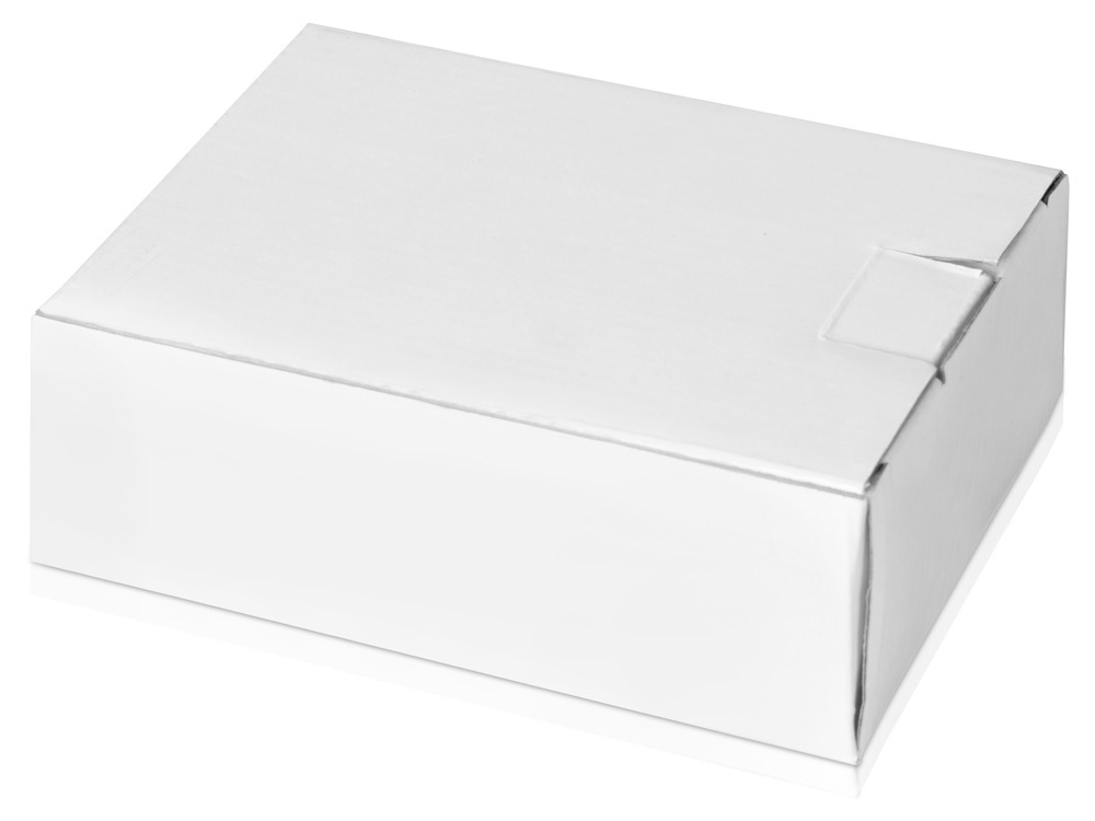 Награда Перо, серебристый/черный-2