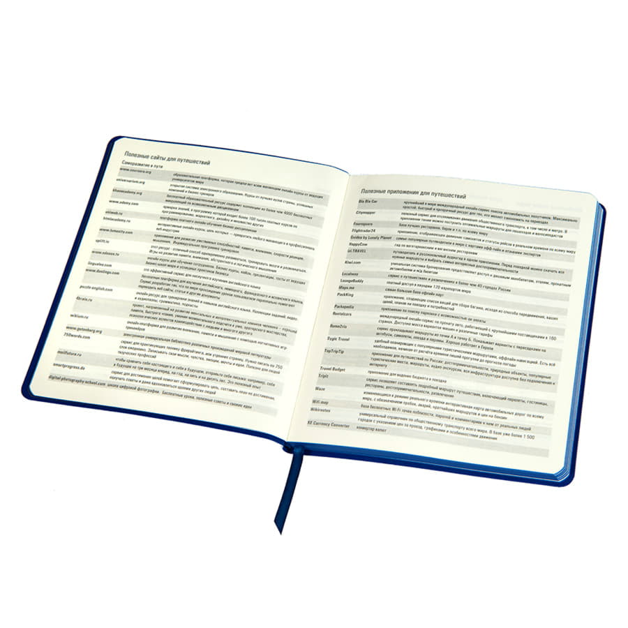 Ежедневник недатированный Arti, B6+, серебристый, блок в клетку, синий обрез, серебристый, синий-1