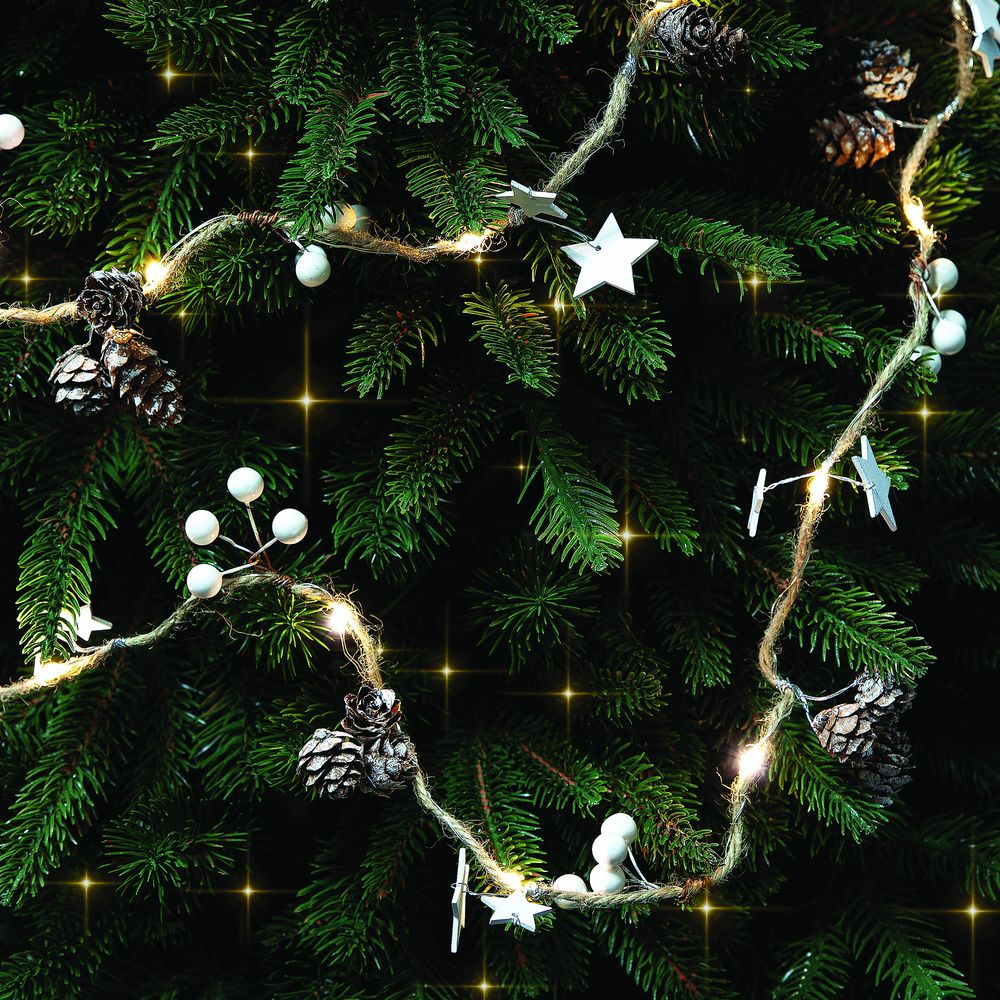 Светодиодная гирлянда Cones and Berries-2