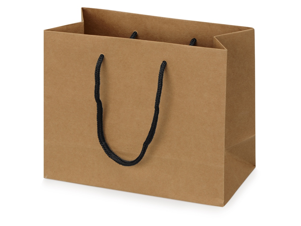 Пакет подарочный Kraft XS, 23x19x10 см-0
