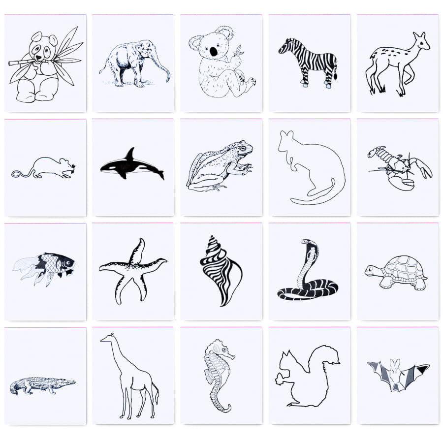 Набор цветных карандашей с раскрасками и точилкой "Figgy", 7,4х9х1,5см, дерево, картон, бумага, коричневый-1