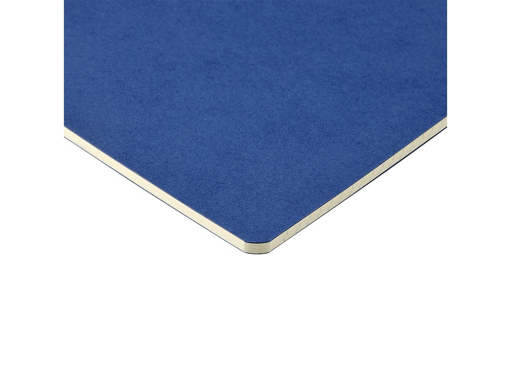 Бизнес-тетрадь А4 Pragmatic,  40л., клетка, синий-3