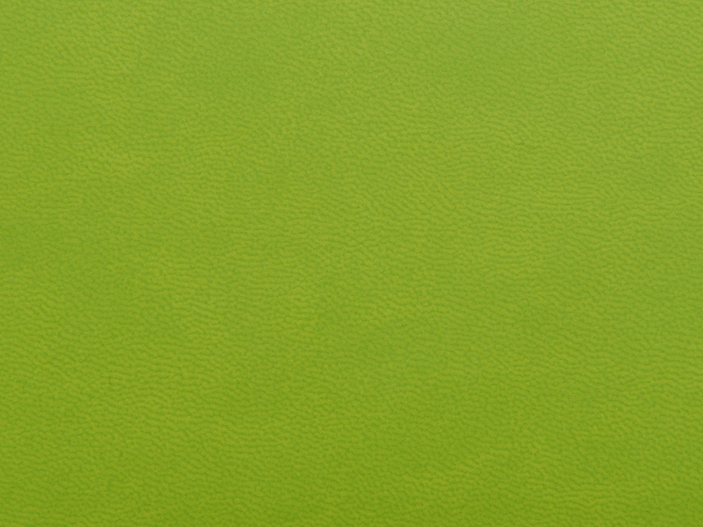 Блокнот А6 Riner, зеленое яблоко-3