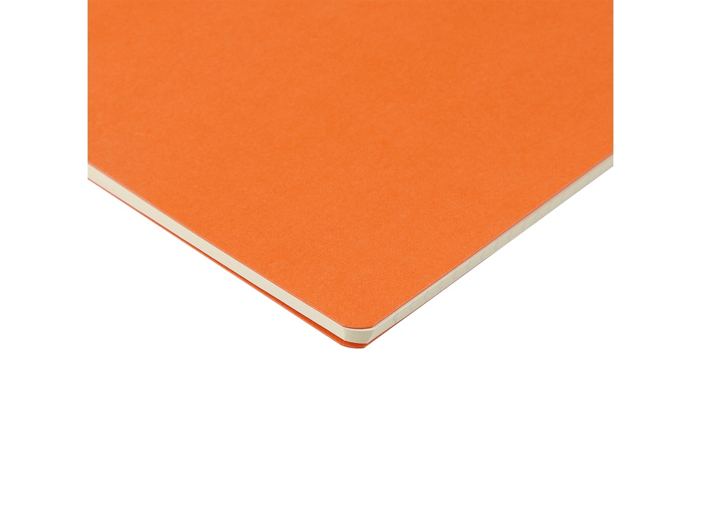 Бизнес тетрадь А5 Pragmatic, 40 листов в клетку, оранжевый-3