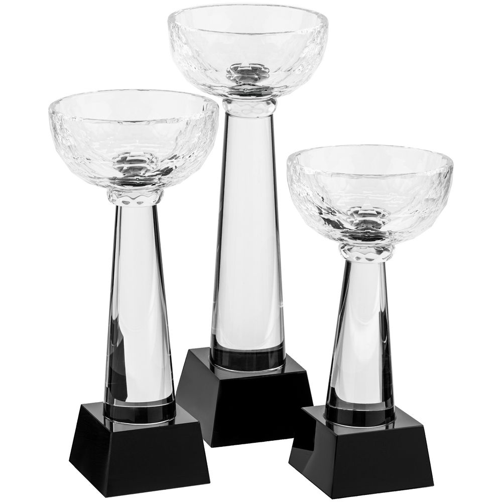 Кубок Cupture, большой-3