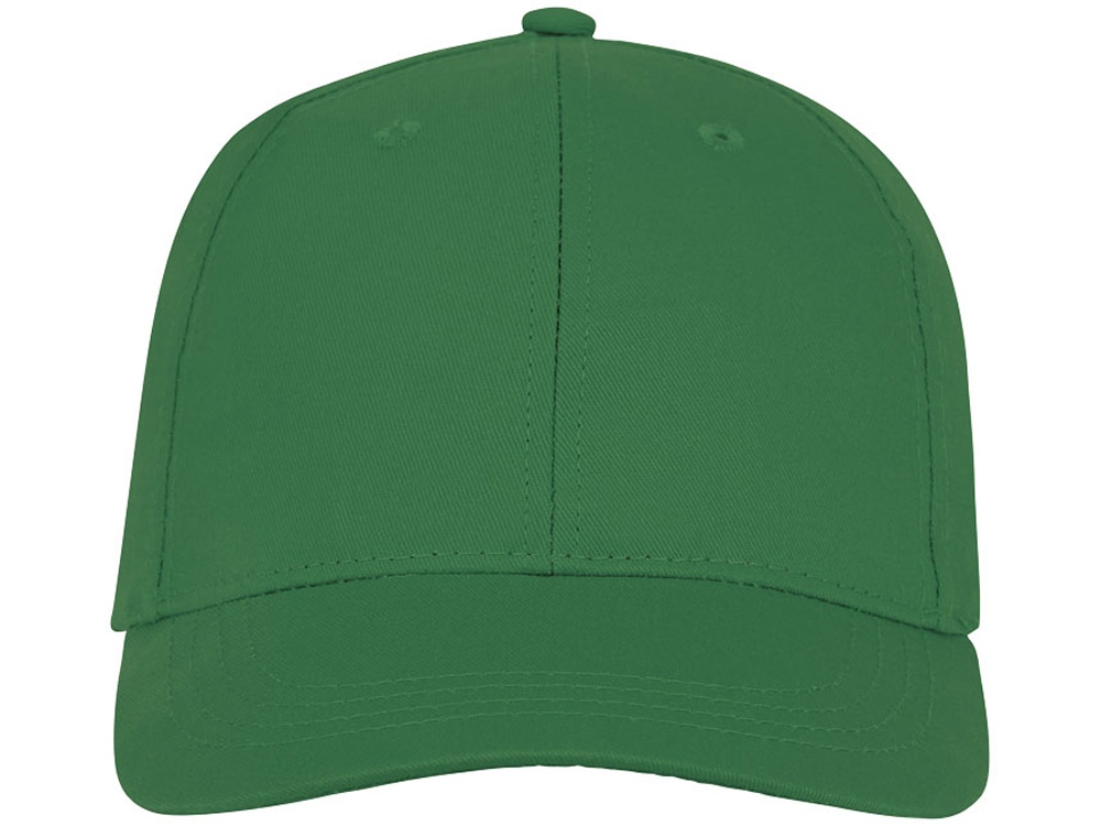 Шестипанельная кепка Ares, зеленый папоротник-1