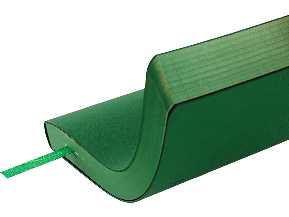 Ежедневник недатированный А5 Megapolis Color Flex, зеленый-6