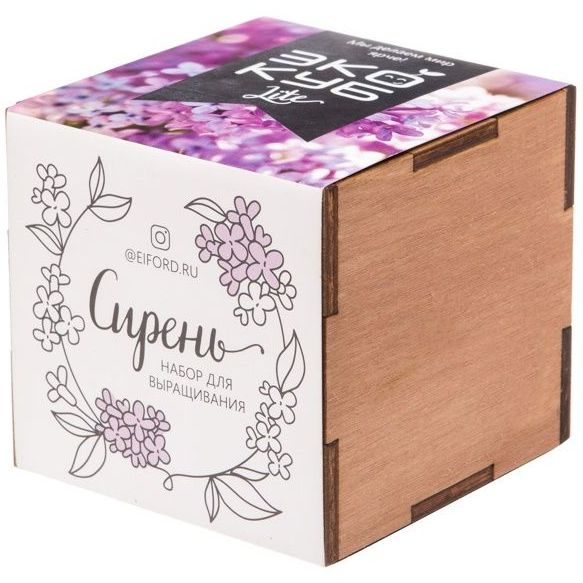 Набор для выращивания «Экокуб Lite», сирень-1