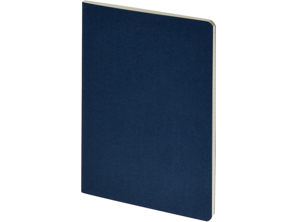 Бизнес-тетрадь А4 Pragmatic,  40л., клетка, темно-синий-0